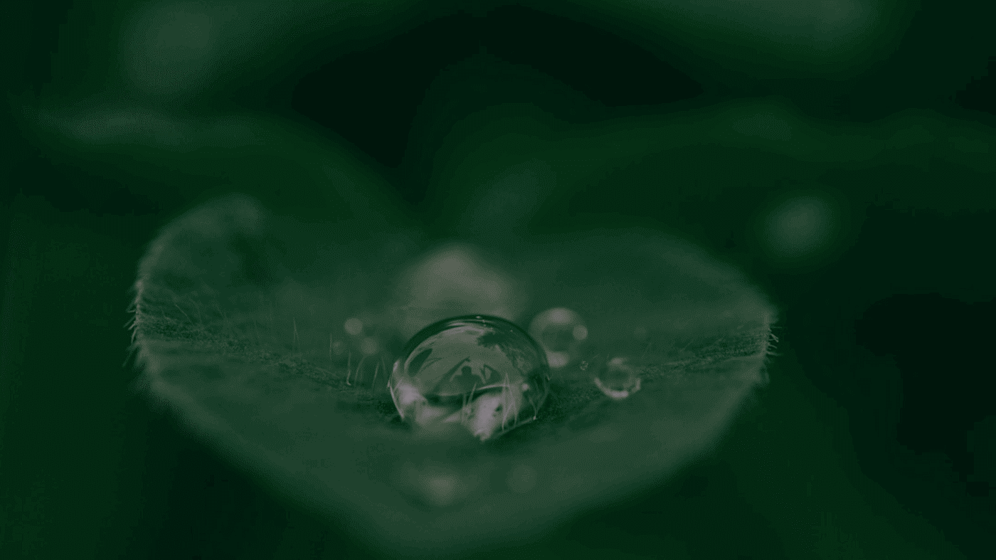 Dokploy的极简教程