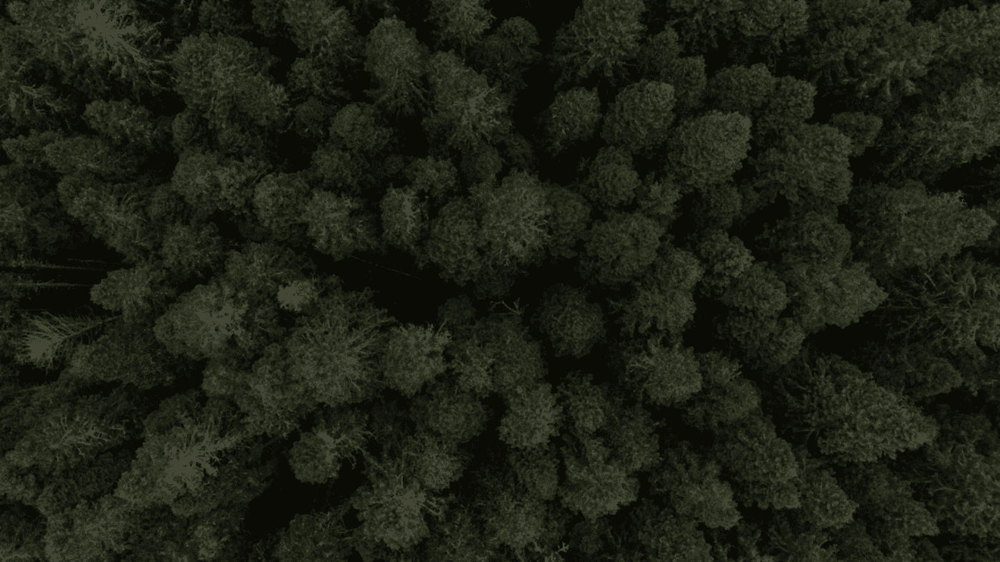 开源海棠诗社 开源海棠诗社