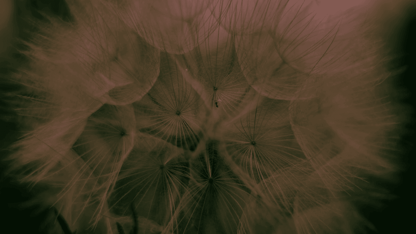 面试指南之算法面试心得